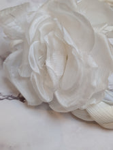 Load image into Gallery viewer, Delphine