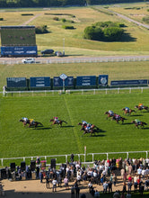 Load image into Gallery viewer, Victoria